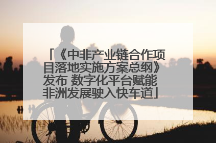 《中非产业链合作项目落地实施方案总纲》发布 数字化平台赋能非洲发展驶入快车道