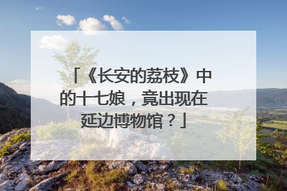 《长安的荔枝》中的十七娘，竟出现在延边博物馆？