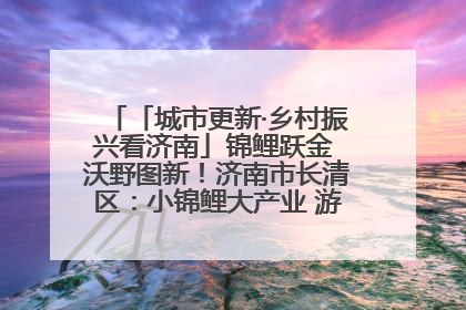 「城市更新·乡村振兴看济南」锦鲤跃金 沃野图新！济南市长清区：小锦鲤大产业 游出农旅新风景