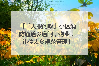 「天眼问政」小区消防通道设道闸，物业：违停太多规范管理