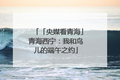 「央媒看青海」青海西宁：我和鸟儿的端午之约