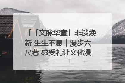 「文脉华章」非遗焕新 生生不息｜漫步六尺巷 感受礼让文化浸润的“巷”往生活