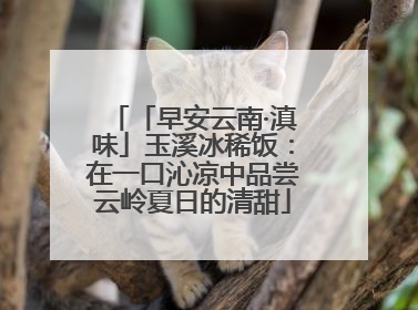 「早安云南·滇味」玉溪冰稀饭：在一口沁凉中品尝云岭夏日的清甜