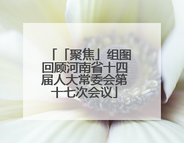 「聚焦」组图回顾河南省十四届人大常委会第十七次会议