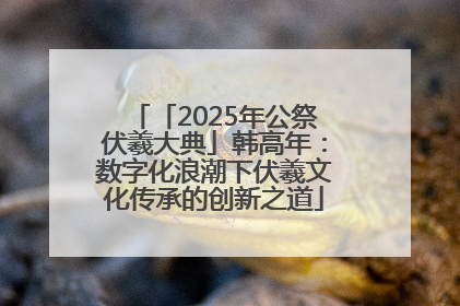 「2025年公祭伏羲大典」韩高年：数字化浪潮下伏羲文化传承的创新之道
