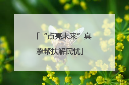 “点亮未来”真挚帮扶解民忧