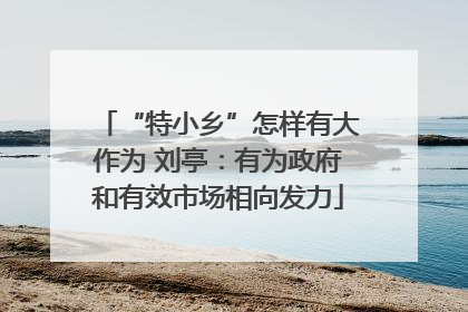 “特小乡”怎样有大作为 刘亭：有为政府和有效市场相向发力
