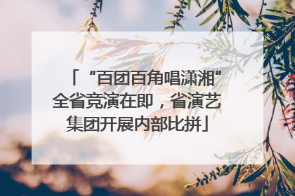 “百团百角唱潇湘”全省竞演在即，省演艺集团开展内部比拼