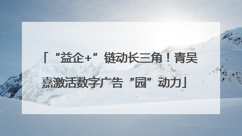 “益企+”链动长三角！青吴嘉激活数字广告“园”动力