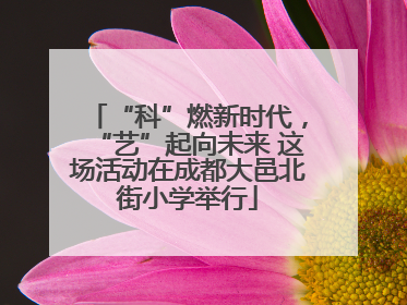 “科”燃新时代，“艺”起向未来 这场活动在成都大邑北街小学举行