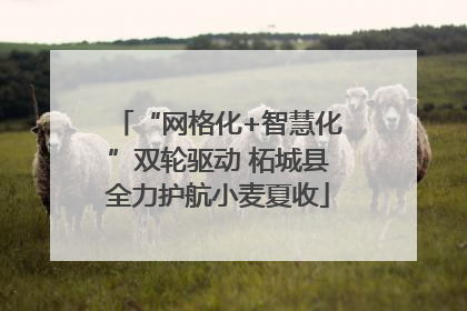 “网格化+智慧化”双轮驱动 柘城县全力护航小麦夏收