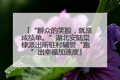 “群众的笑脸，就是成绩单。”湖北安陆棠棣派出所驻村辅警“跑”出幸福加速度