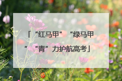 “红马甲”“绿马甲”“青”力护航高考