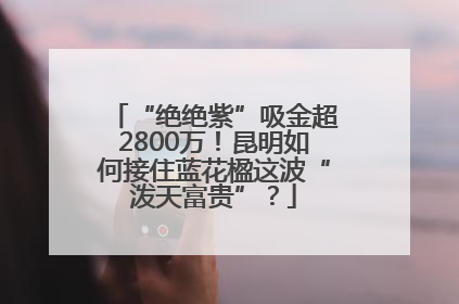 “绝绝紫”吸金超2800万！昆明如何接住蓝花楹这波“泼天富贵”？