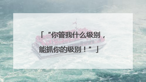 “你管我什么级别，能抓你的级别！”