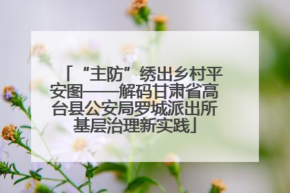 “主防”绣出乡村平安图——解码甘肃省高台县公安局罗城派出所基层治理新实践