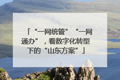 “一网统管”“一网通办”，看数字化转型下的“山东方案”