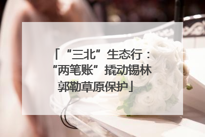“三北”生态行：“两笔账”撬动锡林郭勒草原保护
