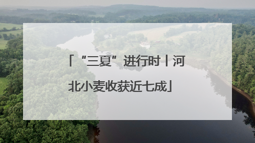 “三夏”进行时丨河北小麦收获近七成