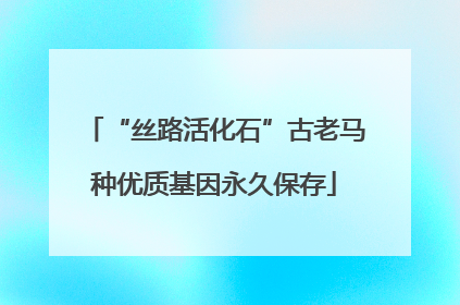 “丝路活化石”古老马种优质基因永久保存