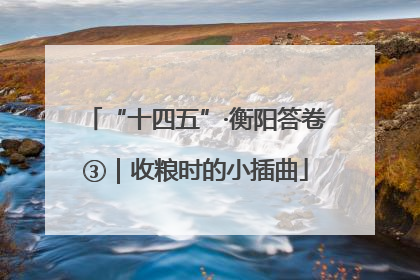 “十四五”·衡阳答卷③｜收粮时的小插曲