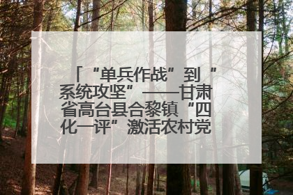 “单兵作战”到“系统攻坚”——甘肃省高台县合黎镇“四化一评”激活农村党员管理新引擎