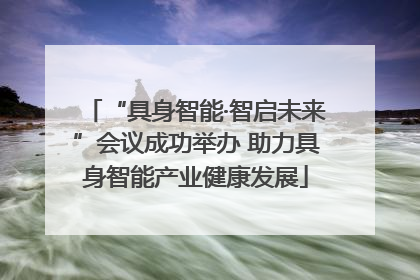 “具身智能·智启未来”会议成功举办 助力具身智能产业健康发展