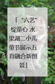 “六艺”绽童心 水果湖二小儿童节展示五育融合新图景