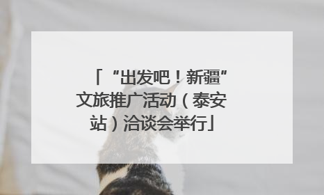 “出发吧！新疆”文旅推广活动（泰安站）洽谈会举行