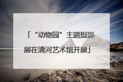 “动物园”主题摄影展在清河艺术馆开展