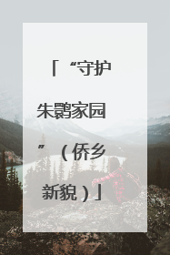 “守护朱鹮家园”（侨乡新貌）