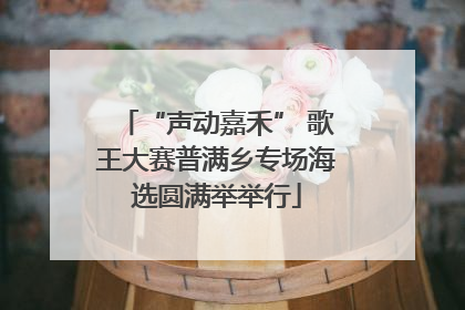 “声动嘉禾” 歌王大赛普满乡专场海选圆满举举行