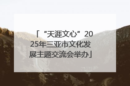 “天涯文心”2025年三亚市文化发展主题交流会举办