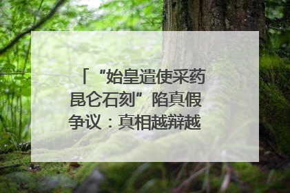 “始皇遣使采药昆仑石刻”陷真假争议：真相越辩越明｜新京报专栏