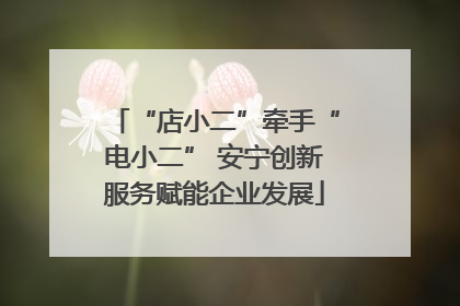 “店小二”牵手“电小二” 安宁创新服务赋能企业发展
