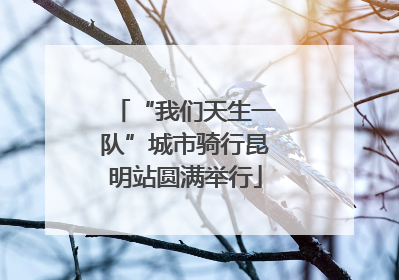 “我们天生一队”城市骑行昆明站圆满举行