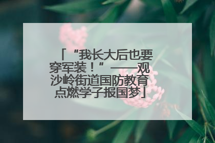“我长大后也要穿军装！”——观沙岭街道国防教育点燃学子报国梦