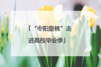 “枣阳皇桃”走进高校毕业季