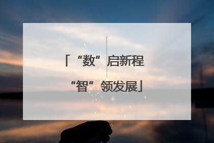 “数”启新程 “智”领发展