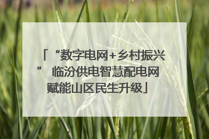“数字电网+乡村振兴” 临汾供电智慧配电网赋能山区民生升级