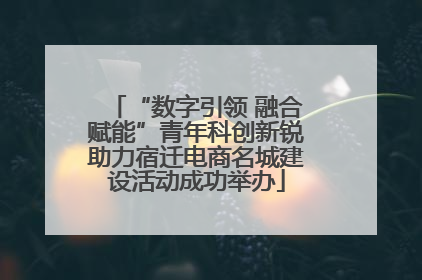 “数字引领 融合赋能”青年科创新锐助力宿迁电商名城建设活动成功举办
