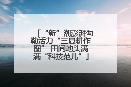 “新”潮澎湃勾勒活力“三夏耕作图” 田间地头满满“科技范儿”