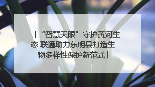 “智慧天眼”守护黄河生态 联通助力东明县打造生物多样性保护新范式