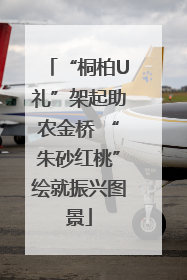 “桐柏U礼”架起助农金桥 “朱砂红桃”绘就振兴图景