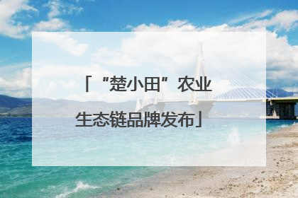 “楚小田”农业生态链品牌发布