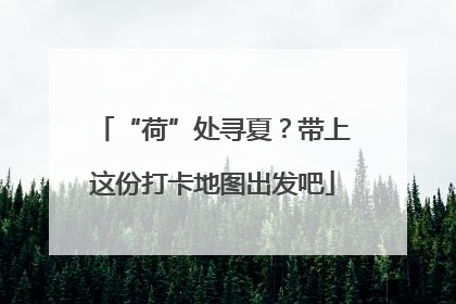“荷”处寻夏？带上这份打卡地图出发吧