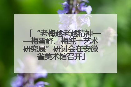 “老梅越老越精神——梅雪峰、梅纯一艺术研究展”研讨会在安徽省美术馆召开