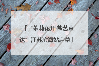 “茉莉花开·盐艺直达”江苏滨海站启幕
