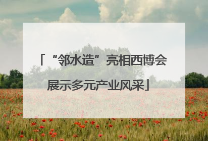 “邻水造”亮相西博会 展示多元产业风采
