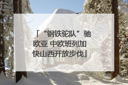 “钢铁驼队”驰欧亚 中欧班列加快山西开放步伐